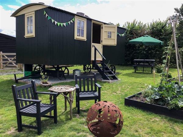 Shepherds Hut at The Beeches in Suffolk