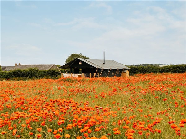 Silverdale House in Norfolk