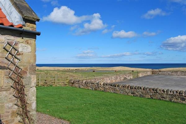 Snook Point Cottage - Northumberland