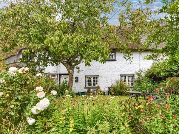 Snowdrop Cottage in Devon