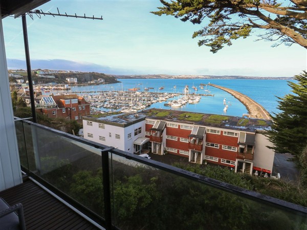 Snowy Owl View at The Breakwater in Devon