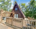 Unwind at Squirrel Lodge; Northumberland