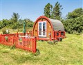 St Austell Glamping - Cornwall