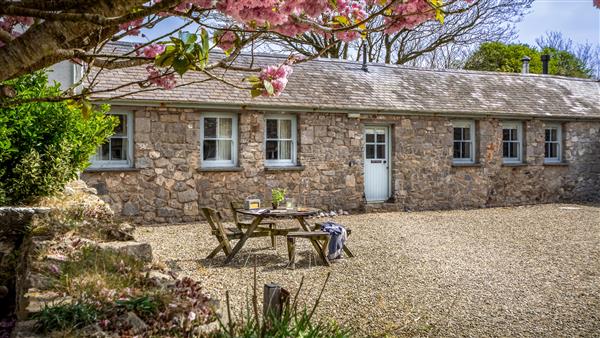 Stackpole Dairy Cottage - Dyfed
