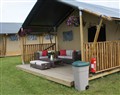 Standard Safari Tent - Hampshire