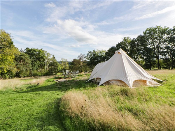 Stargazing Retreat in Powys
