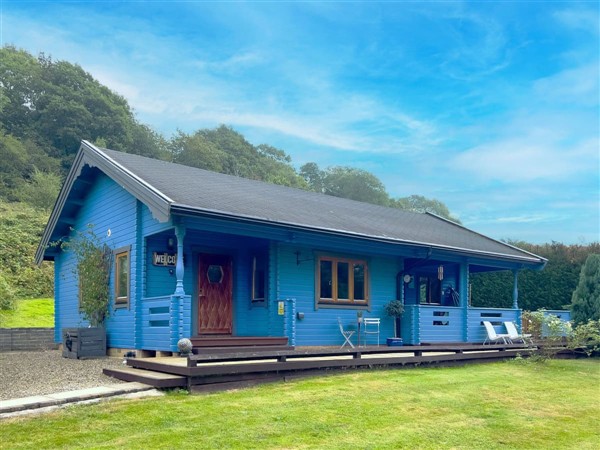 Stonecrop in North Yorkshire