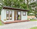 Forget about your problems at Sunny Pooh Corner - Honeypot Lodge; Devon