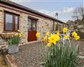Relax at Swallow Cottage; ; Lostwithiel
