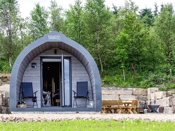 Swallow in North Yorkshire