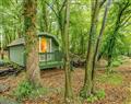 Enjoy a glass of wine at Sweetings Wood Glamping - Badger; Essex