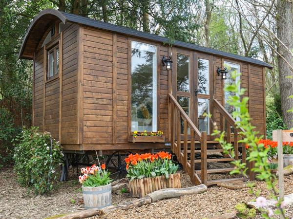 Sybs Farm Shepherds Hut in Haslemere, West Sussex