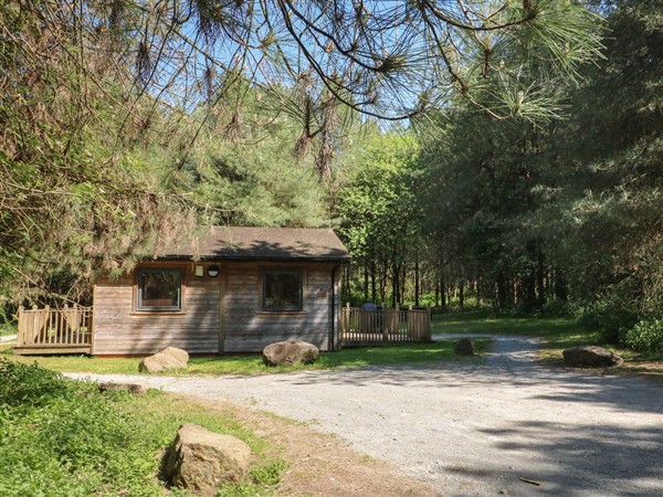 Sycamore Lodge - Derbyshire
