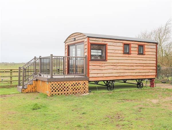 Tal Sarn Shepherd Hut - Gwynedd