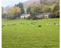 Tanat Valley Farmhouse in Powys