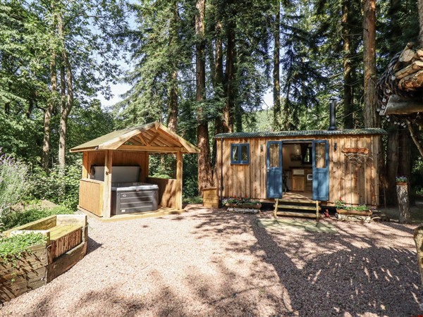 Tanglewood Shepherds Hut - Powys
