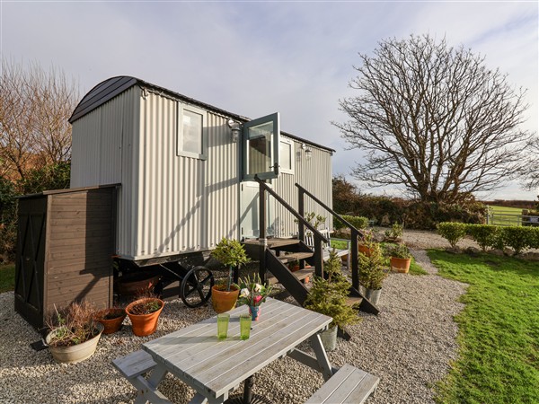 Teg in Cornwall