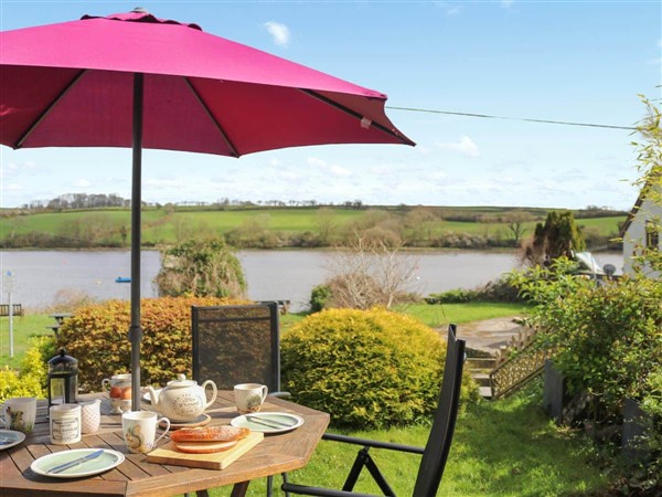 Teifi View in Dyfed
