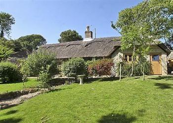Thatch Cottage in 