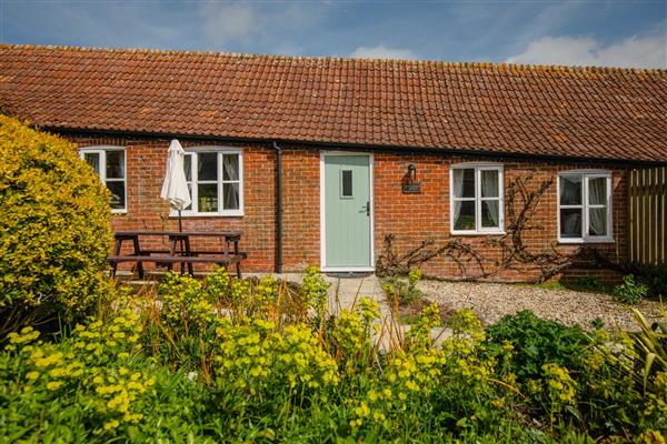 Thatchers Cottage - Dorset