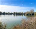 Relax at The Badgers' Sett; Essex