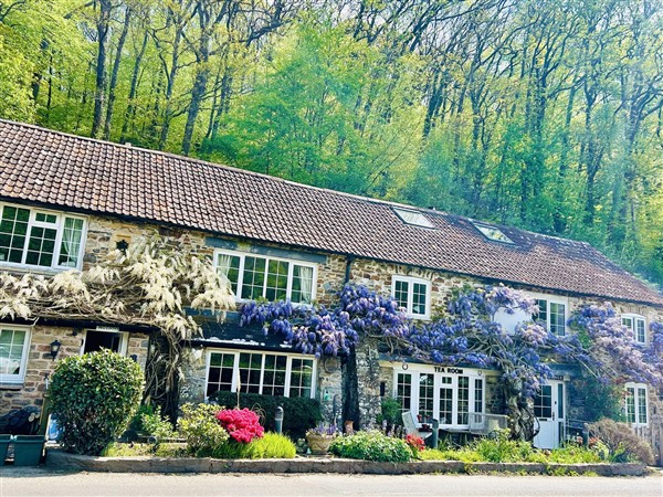 The Bark House in Devon