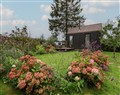 The Bothy - Wiltshire