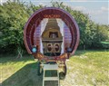 The Bowtop Gypsy Caravan - Suffolk