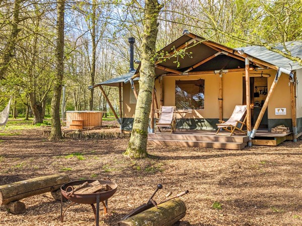 The Bushel, Halesworth