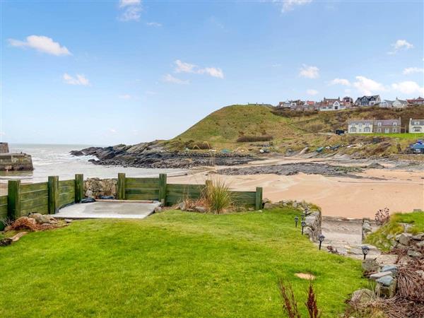 The Cliff in Aberdeenshire