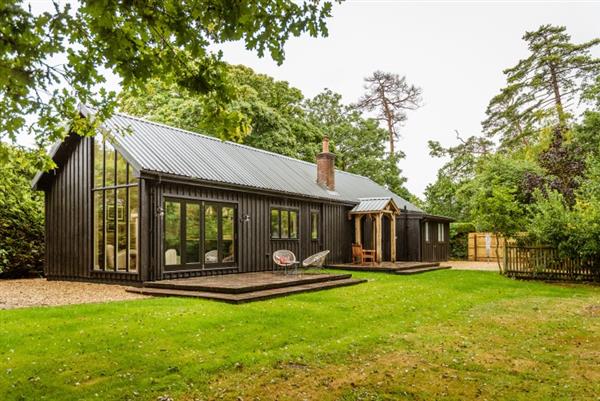 The Coding Hut in Hampshire