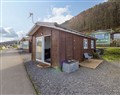 The Comfort Den - Dyfed