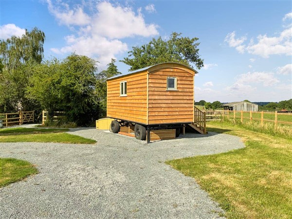 The Coop in Somerset