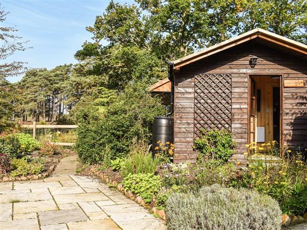 The Cottage at Dockens Water in Hampshire