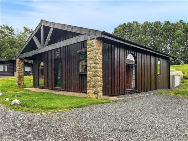 The Curious Stag in Northumberland