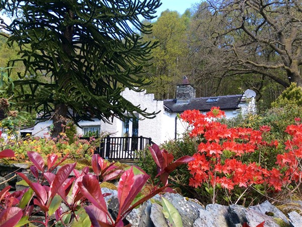 The Dove Cot - Cumbria