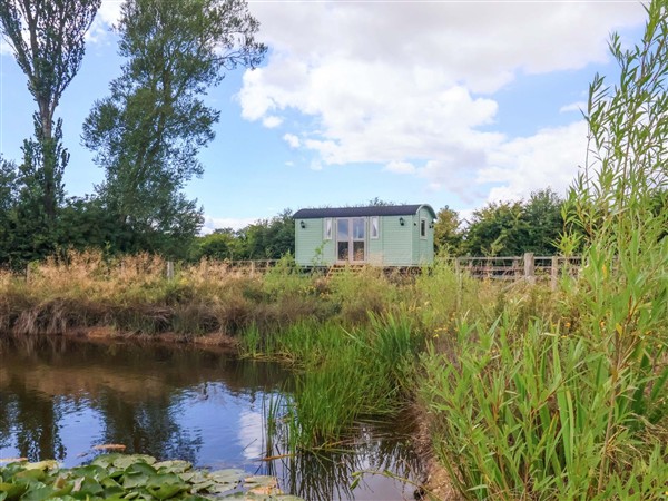 The Dragonfly in North Humberside