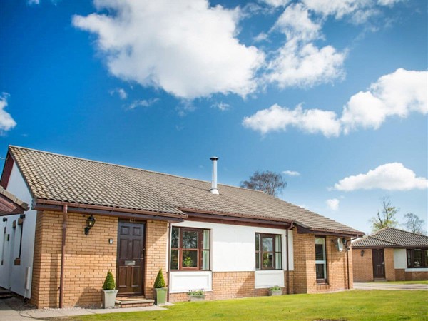 The Eagle in Inverness-Shire