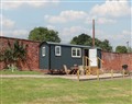 Enjoy a glass of wine at The Garden Hut; ; Wrexham