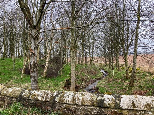 The Garden Pod in Angus