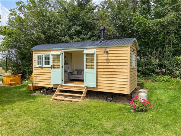 The Good Shepherd Hut in Hampshire