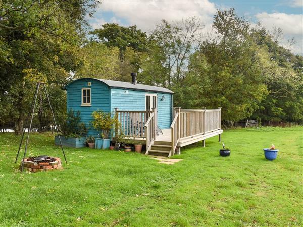 The Shepherds Hut at Calvesfield Shaw in Herstmonceux, near Hailsham, East Sussex