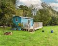 The Shepherds Hut at Calvesfield Shaw in Herstmonceux, near Hailsham - East Sussex