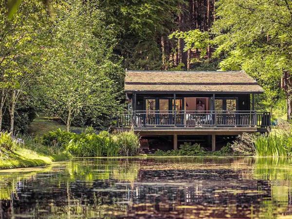 The Lakehouse in Mamhead, near Exeter, Devon