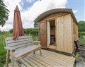 The Little Shepherds Hut with a View - Powys