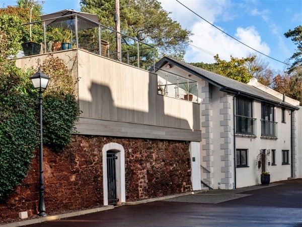 The Old Vines in Devon