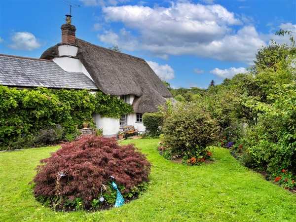 The Old Yard Barn in Devon