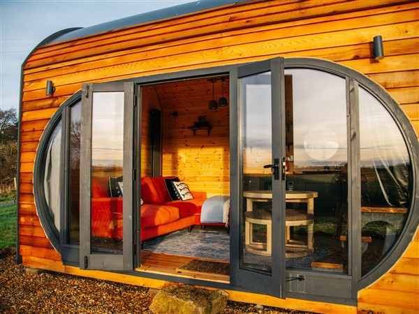 The Palm in Tremenhere Farm near Ponsanooth, Cornwall