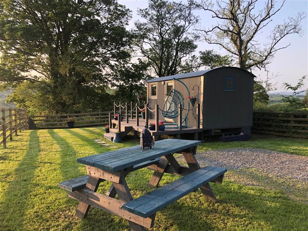 The Peacock Shepherds Hut at Hafoty Boeth in Denbighshire