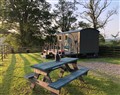The Peacock Shepherds Hut at Hafoty Boeth - Denbighshire